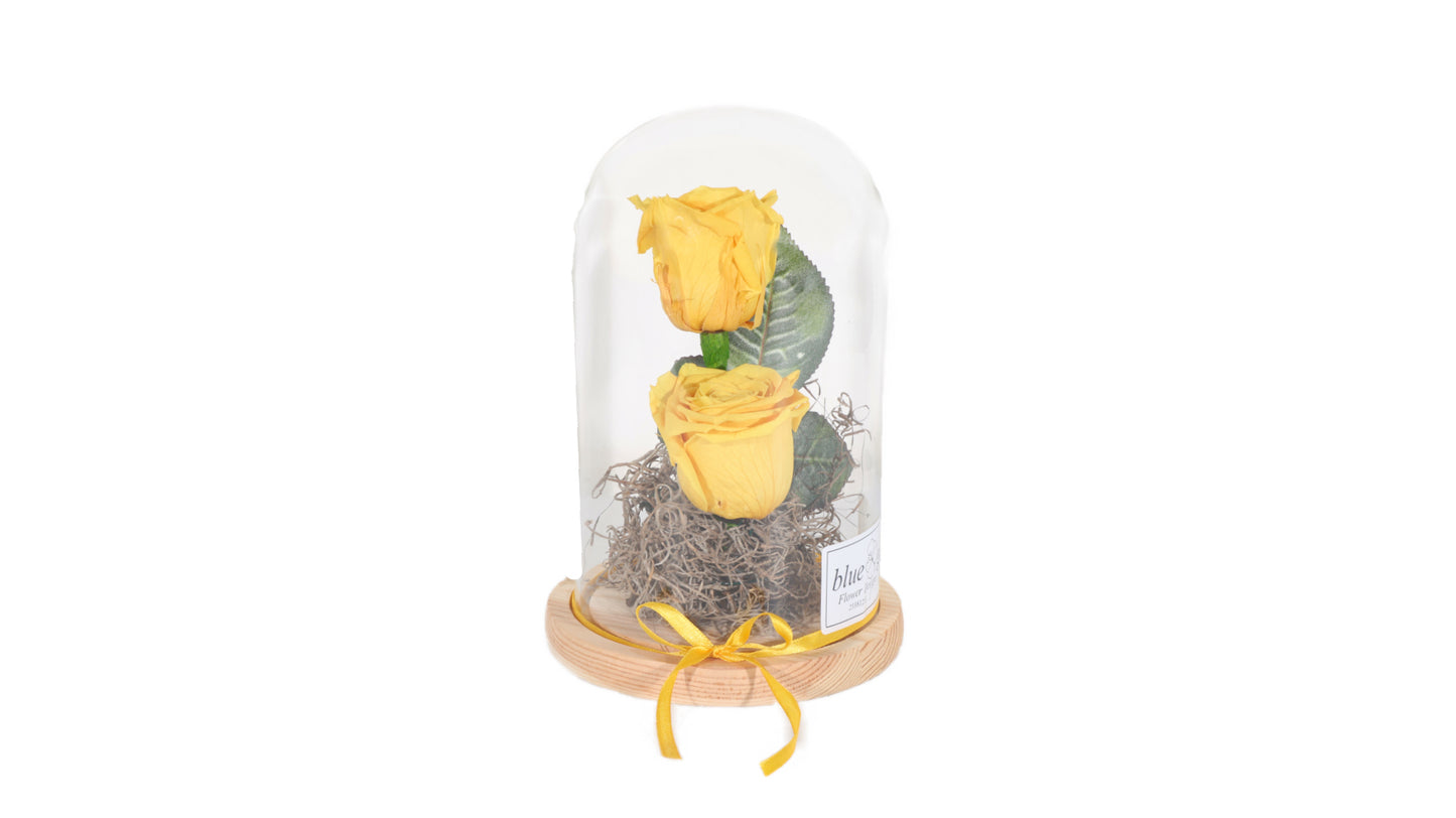 2 long lasting Yellow Roses in a Glass Container