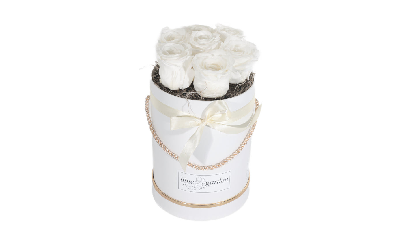 5 long lasting White Roses in a Black/White Box
