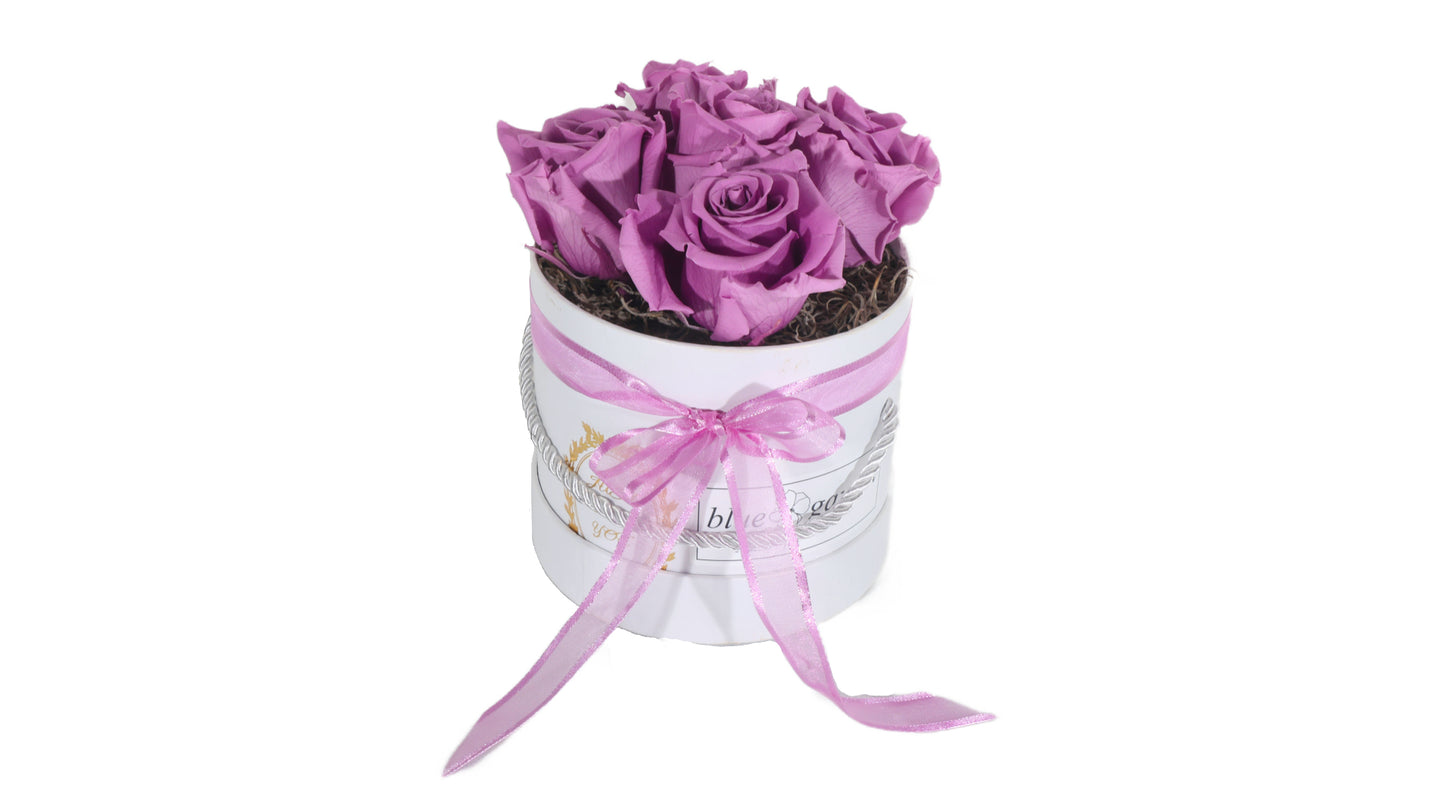5 long lasting Purple Roses in a Black/White Box