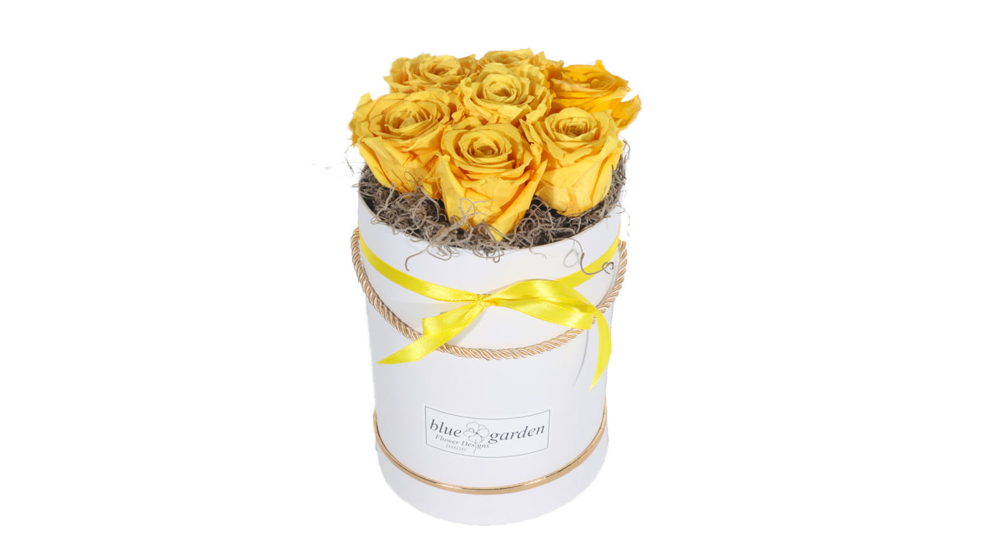 7 long lasting Yellow Roses in a Black/White Box
