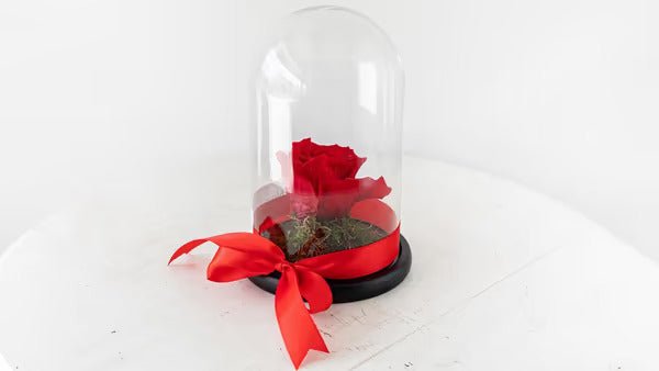 1 Long Lasting Red Rose in Glass Contrainer - #bluegardenflowers#