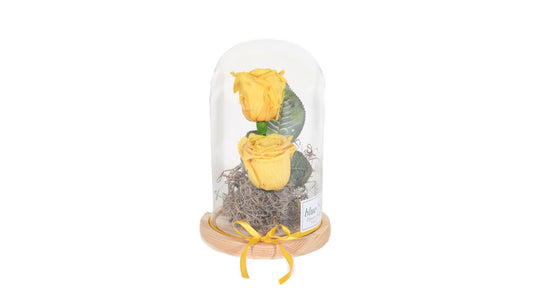 2 long lasting Yellow Roses in a Glass Container