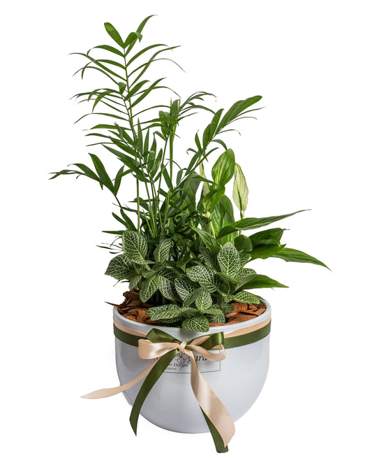Arrangement With Plants In Clay Pot No. 2 - BG Flowers