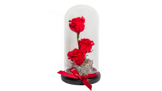 2 long lasting Red Roses in a Glass Container