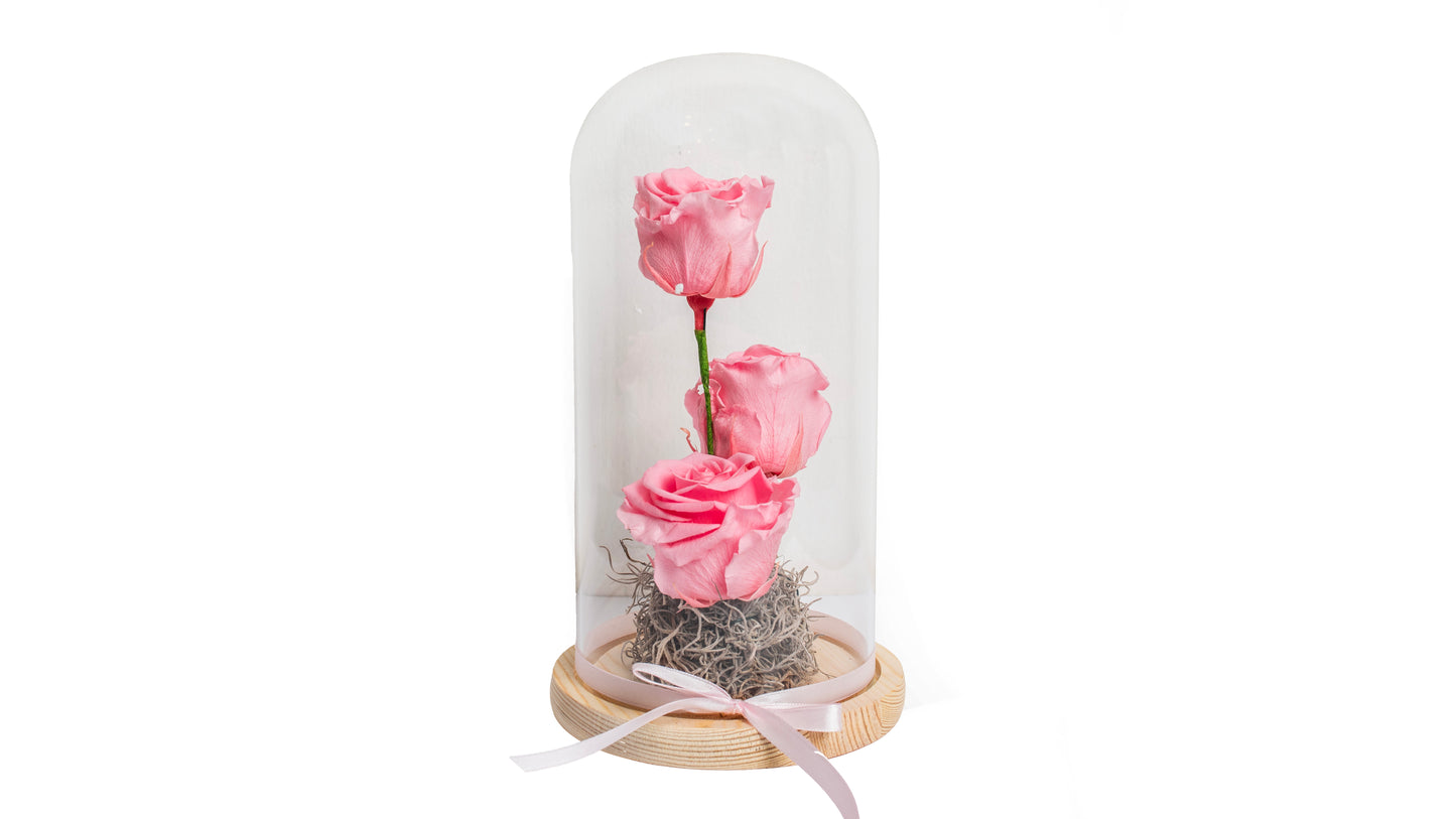 3 long lasting Pink Roses in Glass Container
