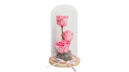 3 long lasting Pink Roses in Glass Container
