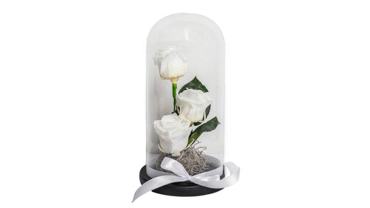 3 long lasting White Roses in a Glass Container