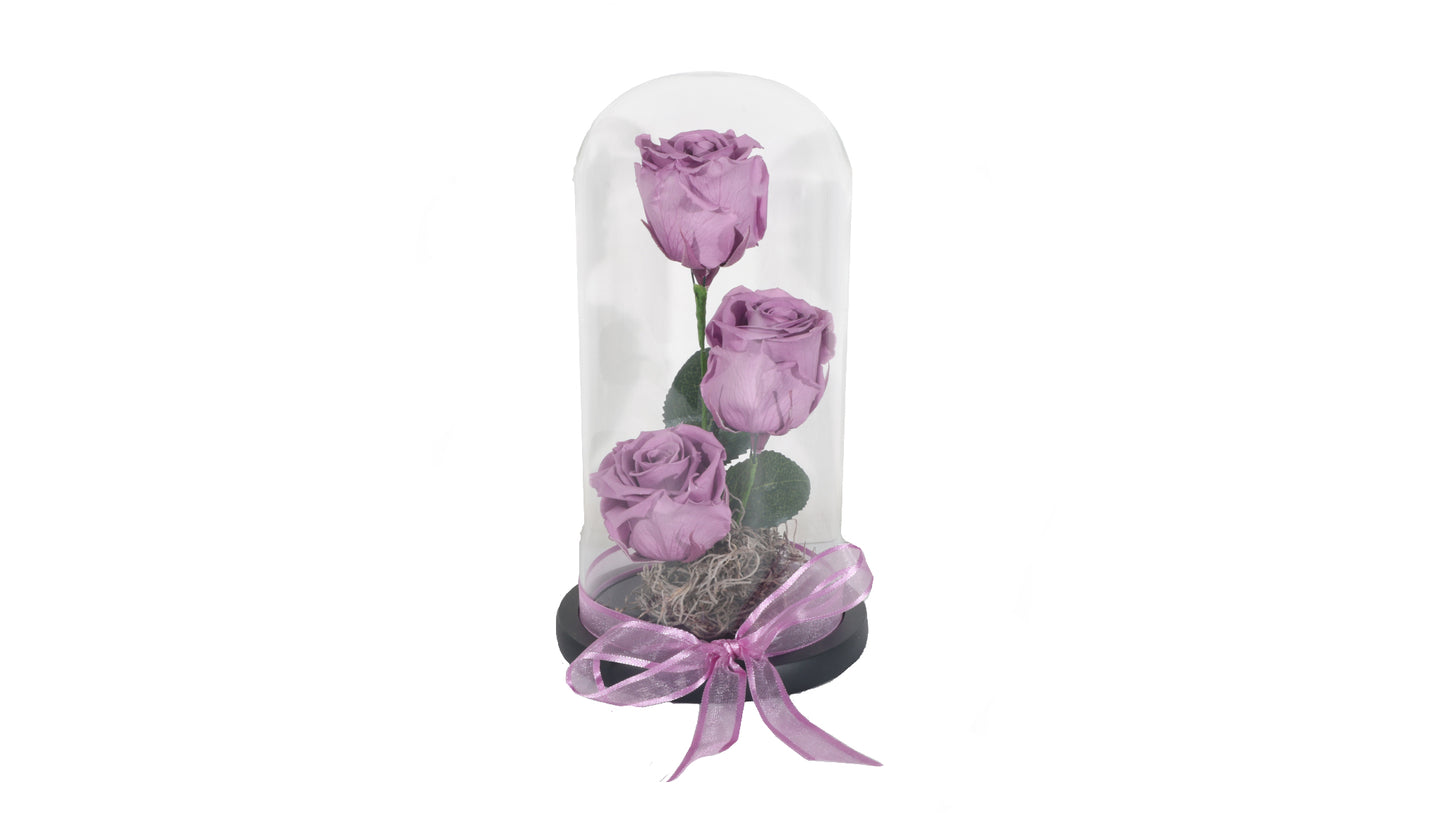 3 long lasting Purple Roses in a Glass Container