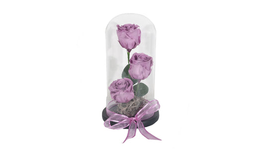 3 long lasting Purple Roses in a Glass Container
