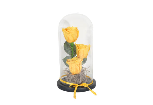 3 long lasting Yellow Roses in a Glass Container