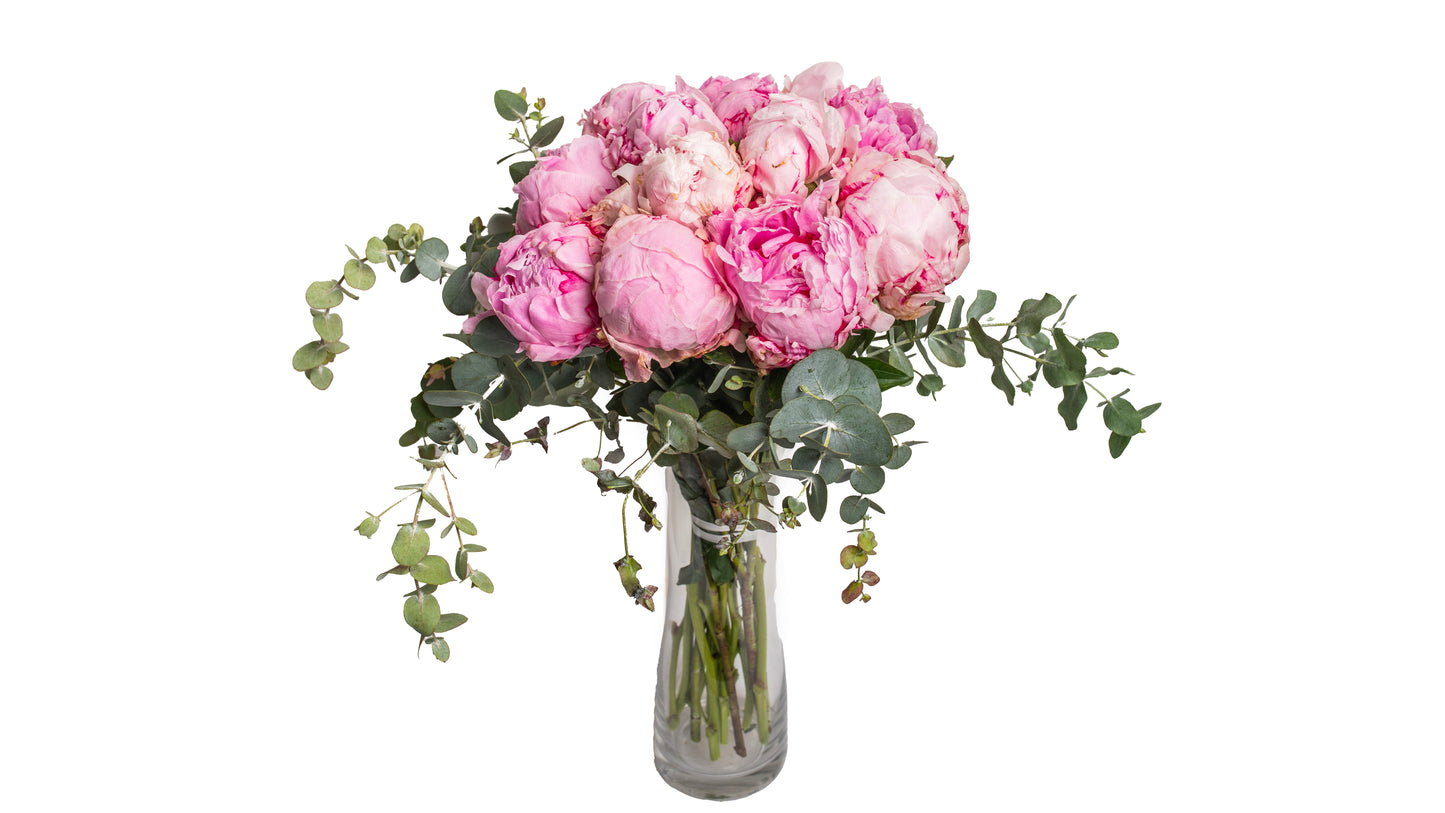 Peonies Bouquet - BG Flowers