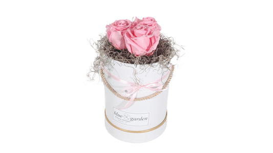 3 long lasting Pink Roses in a Black/White Box