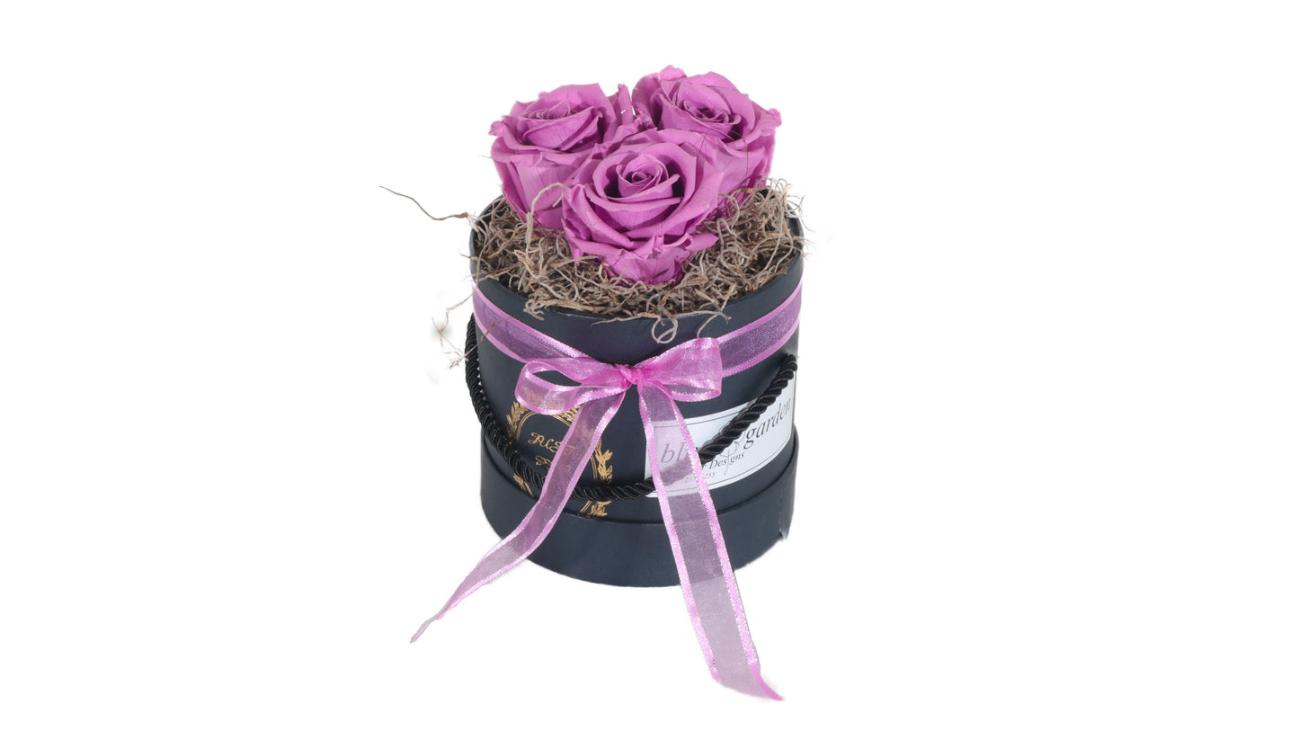 3 long lasting Purple Roses in a Black/White Box