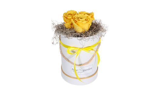 3 long lasting Yellow Roses in a Black/White Box