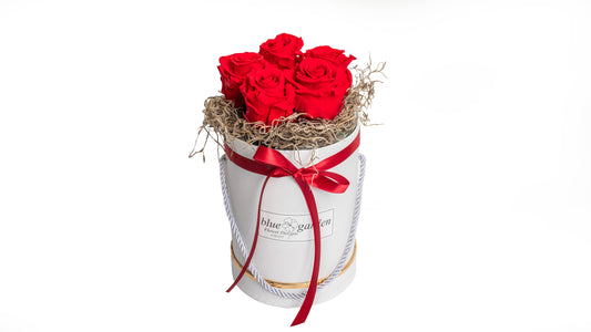 5 long lasting Red Roses in a Black/White Box