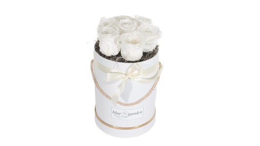 5 long lasting White Roses in a Black/White Box