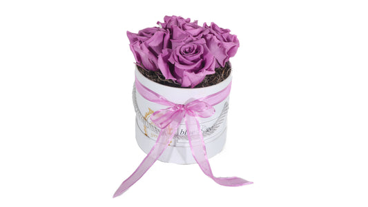 5 long lasting Purple Roses in a Black/White Box