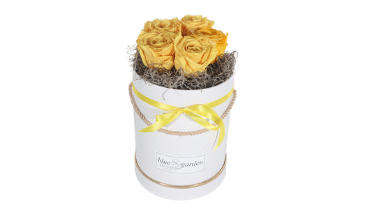 5 long lasting Yellow Roses in a Black/White Box