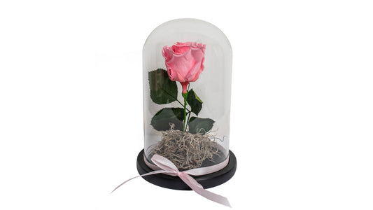 1 Pink Long Lasting Rose in Glass Containe