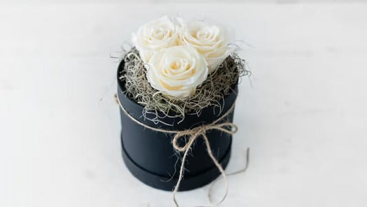 3 long lasting White Roses in a Black Box - #bluegardenflowers#