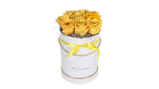 9 long lasting Yellow Roses in a Black/White Box