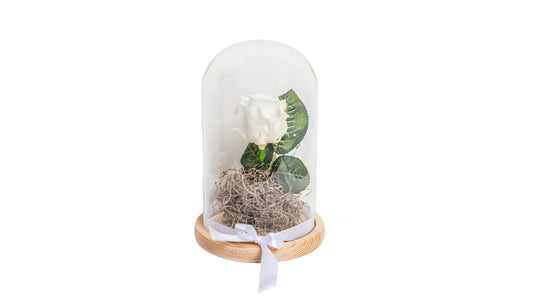 1 White Long Lasting Rose in Glass Containe