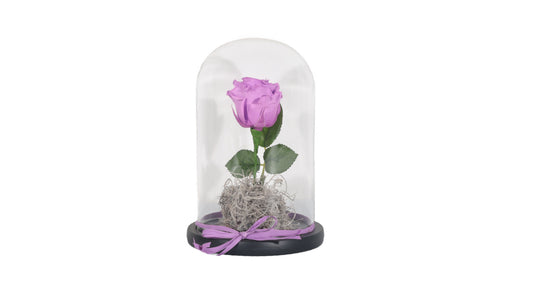 1 Purple Long Lasting Rose in Glass Containe