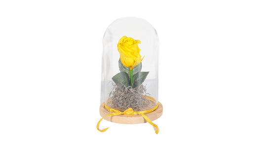 1 Yellow Long Lasting Rose in Glass Containe