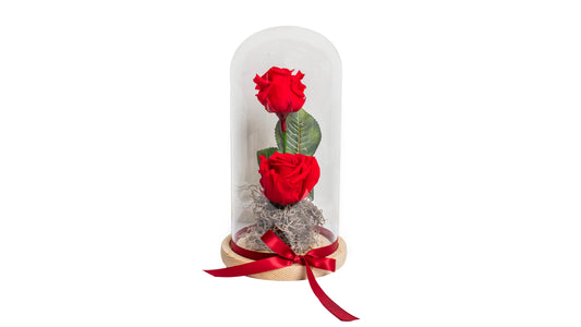 2 Red Long Lasting Rose in Glass Containe