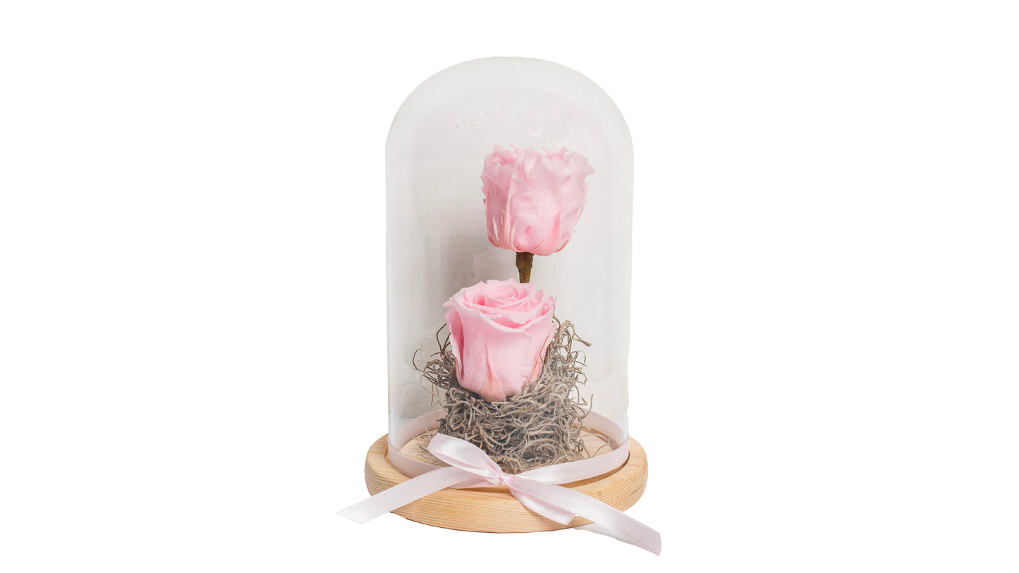 2 Pink Long Lasting Rose in Glass Containe