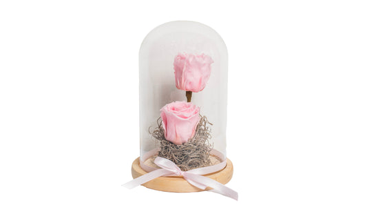 2 Pink Long Lasting Rose in Glass Containe