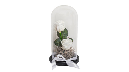 2 long lasting White Roses in a Glass Container