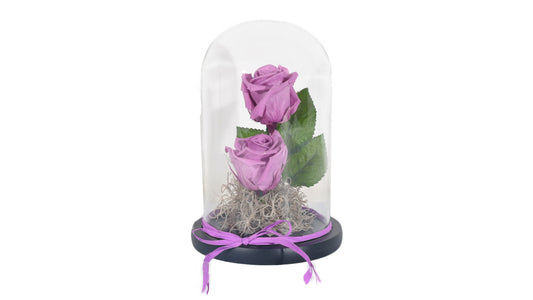 2 long lasting Purple Roses in a Glass Container