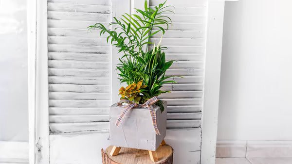 Basket With Ornamental Plants - #bluegardenflowers#