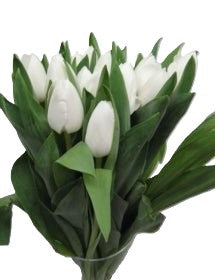 Bouquet of Toulips - BG Flowers